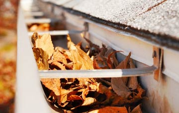 Woodlake gutter cleaning companies