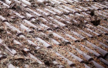 Woodlake roof cleaning companies